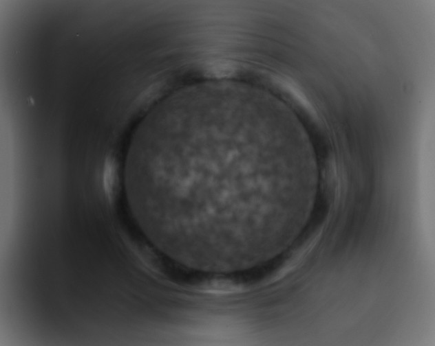 X0000093150598200710031429