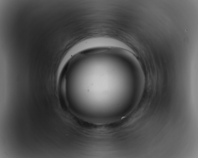 X0000093150600200710031429