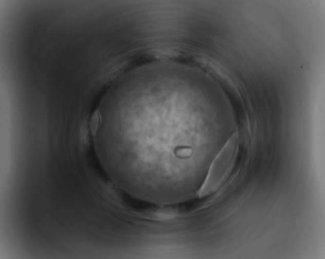 X0000093150604200710031429