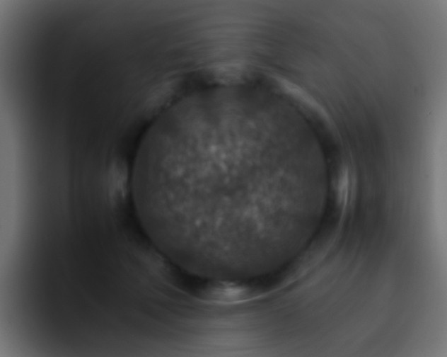 X0000093150610200710031429