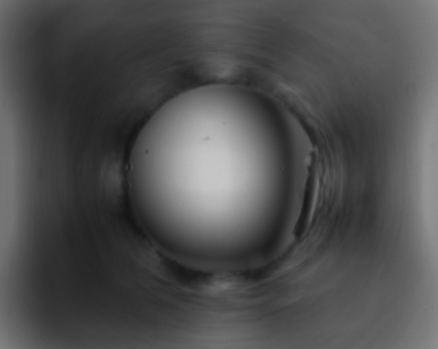 X0000093150612200710031429