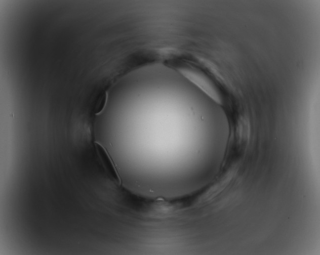 X0000093150613200710031429
