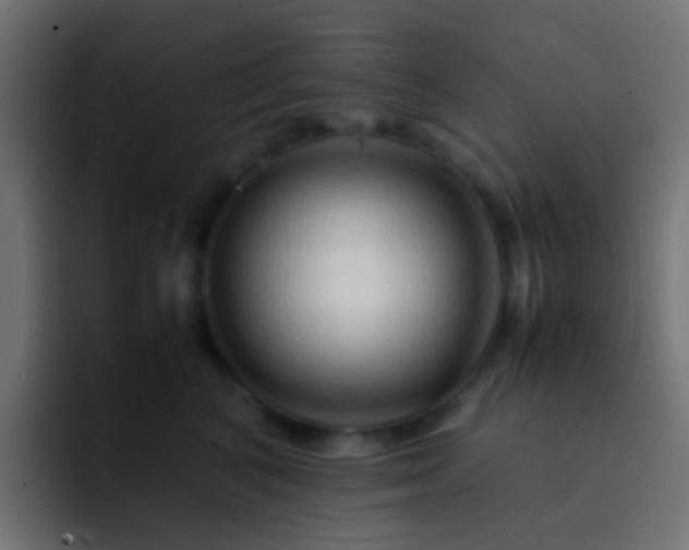 X0000093150616200710031429