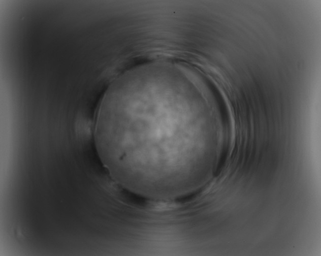 X0000093150621200710031429