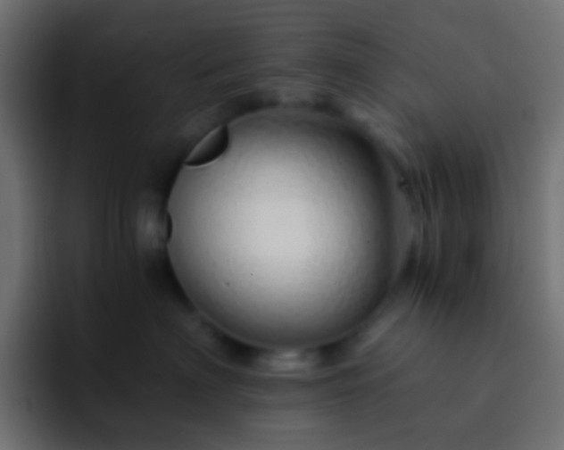 X0000093150622200710031429