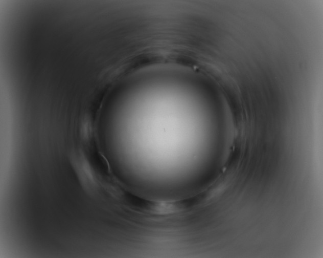 X0000093150623200710031429