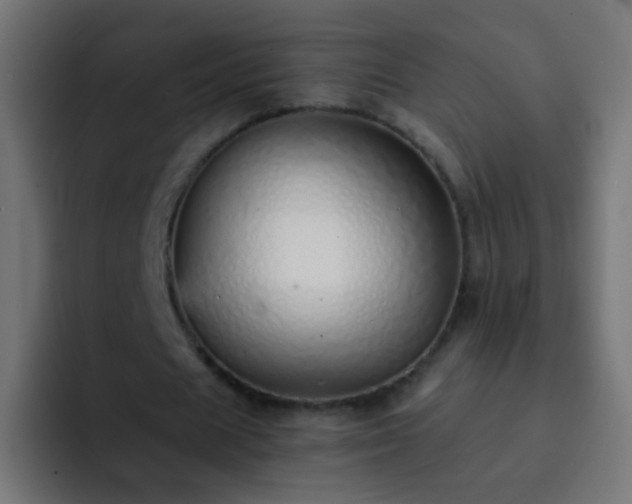 X0000093150625200710031428