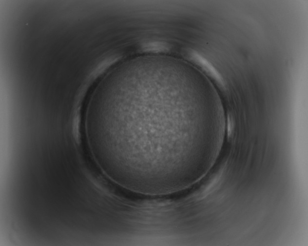 X0000093150627200710031428
