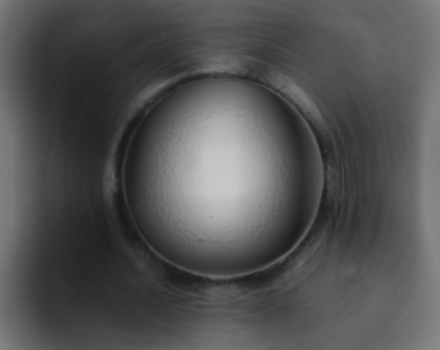 X0000093150628200710031428