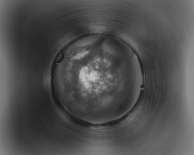 X0000093150630200710031428