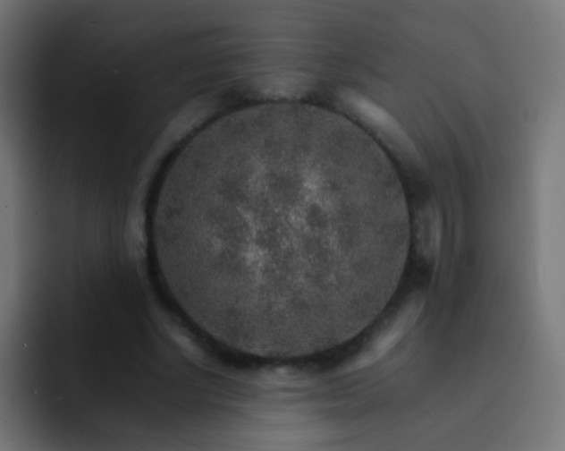 X0000093150634200710031428