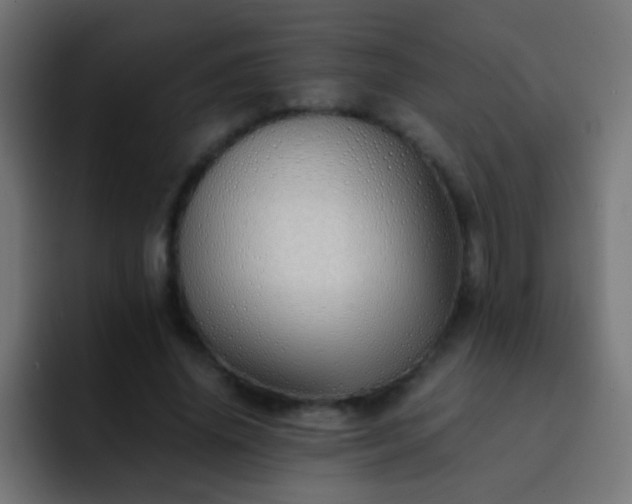X0000093150636200710031428