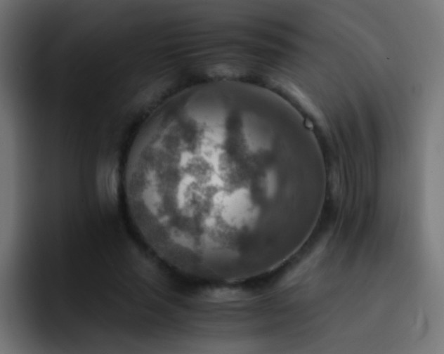 X0000093150637200710031428