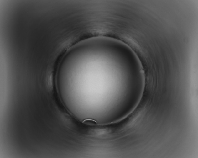 X0000093150638200710031428