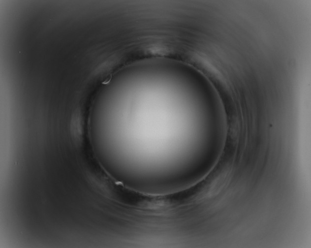 X0000093150639200710031428