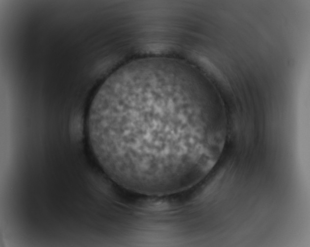 X0000093150640200710031428