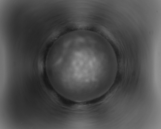 X0000093150644200710031428