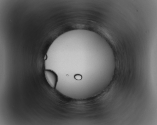 X0000093150645200710031428