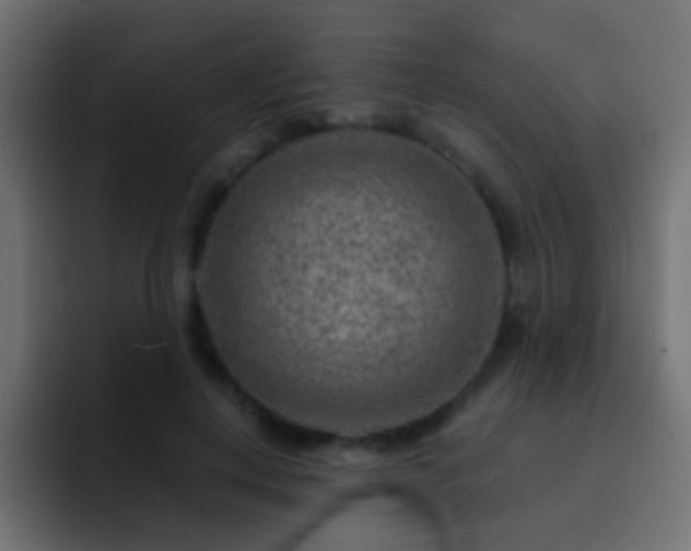 X0000093150648200710031428
