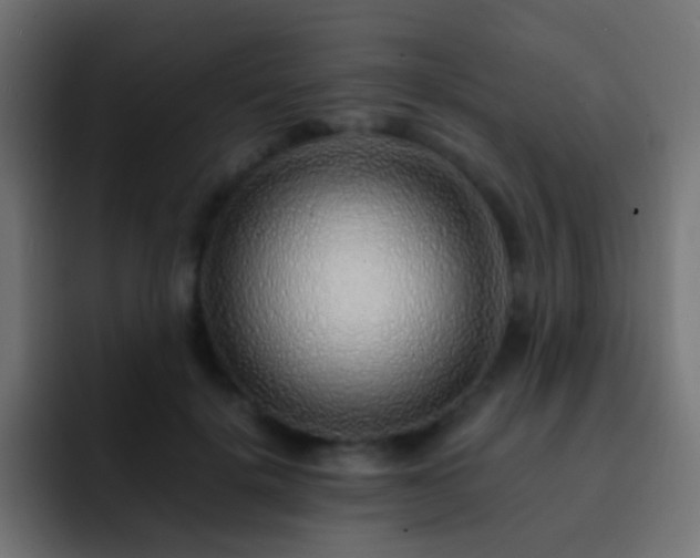 X0000093150652200710031428