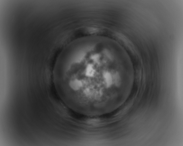 X0000093150653200710031428