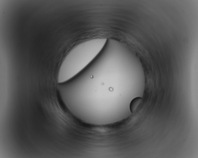 X0000093150654200710031429