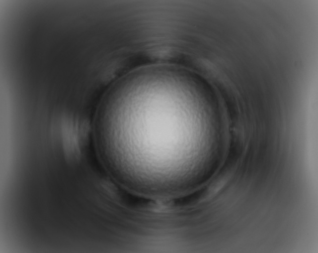 X0000093150660200710031429