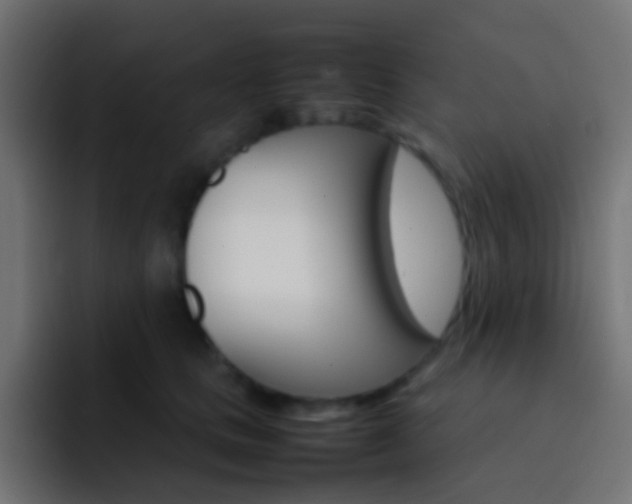 X0000093150661200710031429