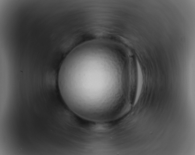 X0000093150664200710031429