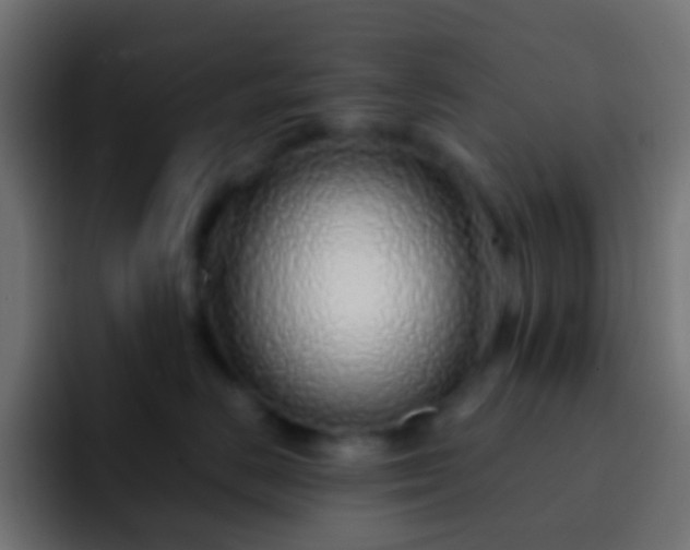 X0000093150670200710031429