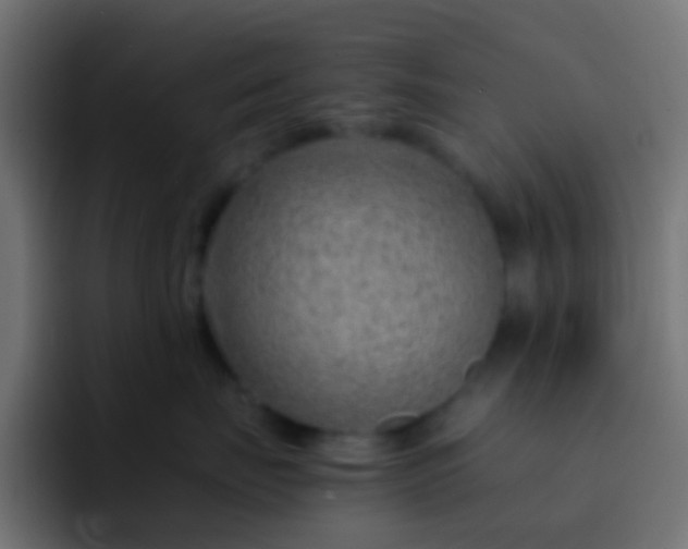 X0000093150671200710031429