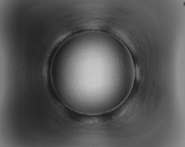 X0000093150675200710031428
