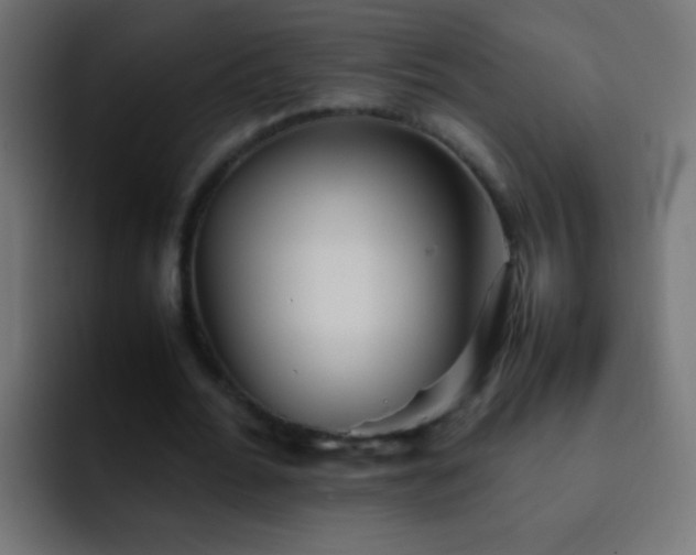X0000093150676200710031428