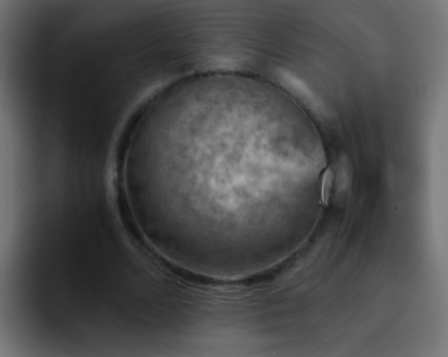 X0000093150680200710031428