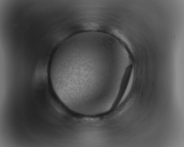 X0000093150681200710031428