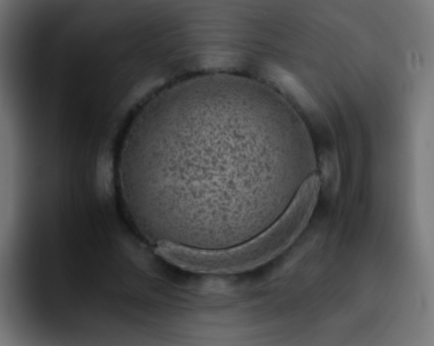 X0000093150684200710031428