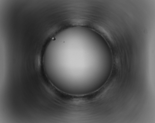 X0000093150686200710031428