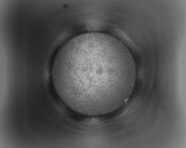 X0000093150687200710031428