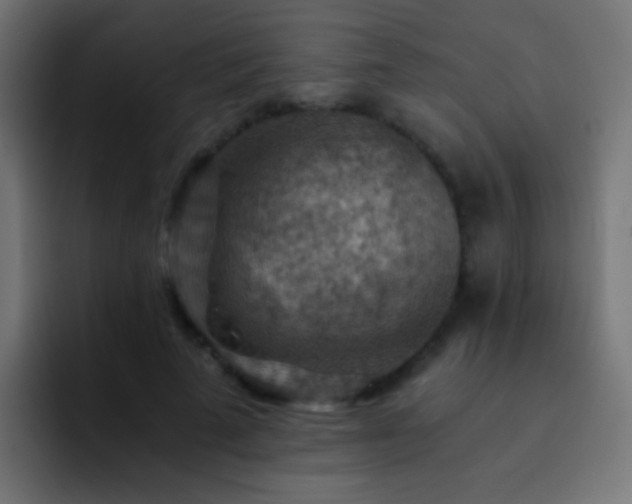 X0000093150689200710031428