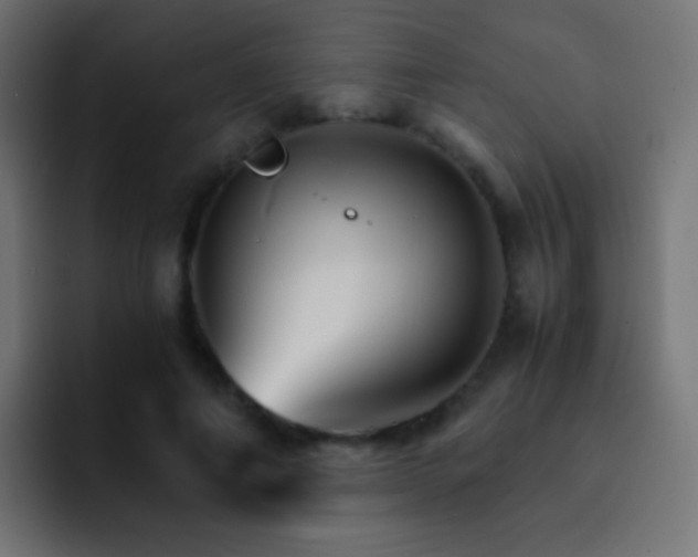 X0000093150690200710031428