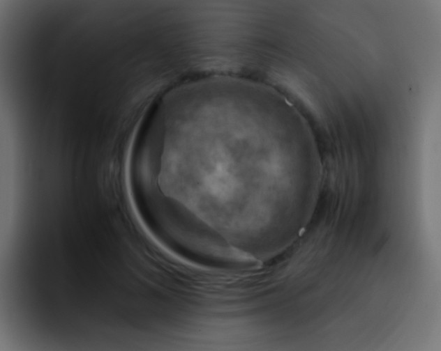 X0000093150692200710031428