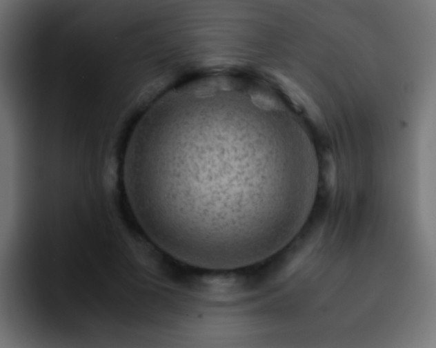 X0000093150693200710031428