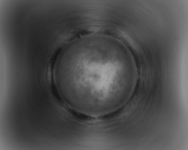 X0000093150696200710031428