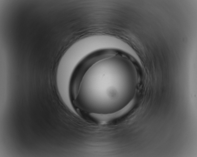 X0000093150697200710031428