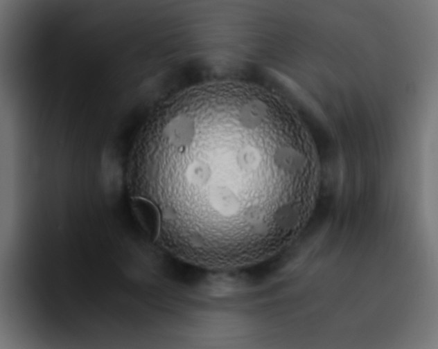 X0000093150703200710031428