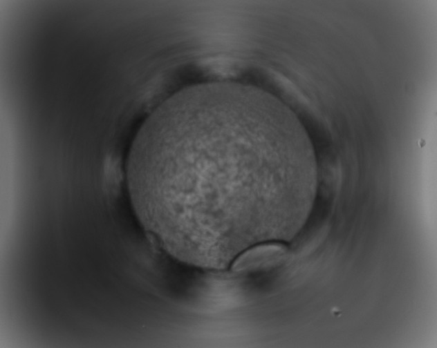 X0000093150707200710031428