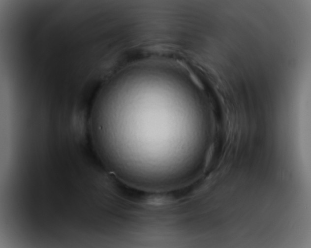 X0000093150708200710031428