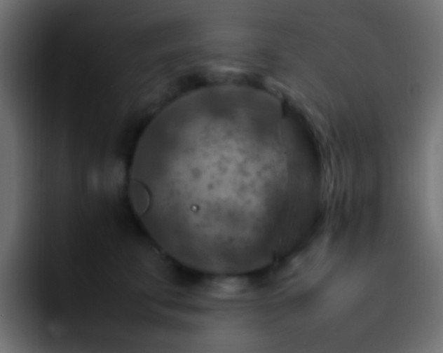 X0000093150711200710031428