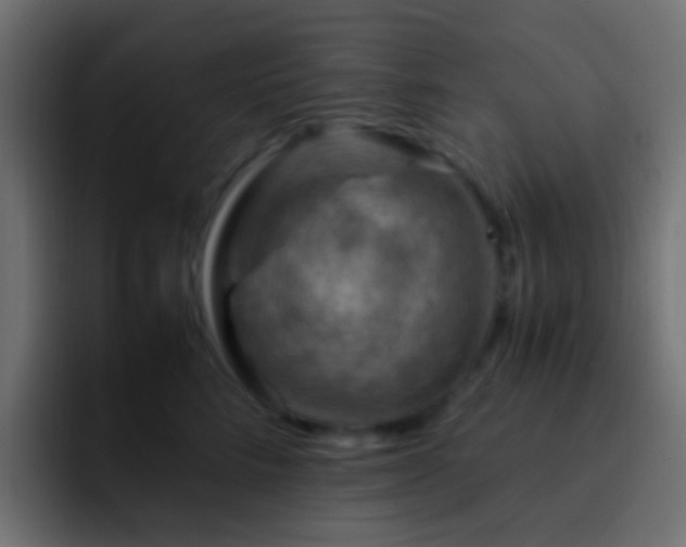 X0000093150712200710031428