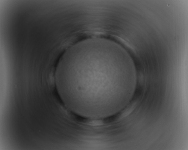 X0000093150719200710031428